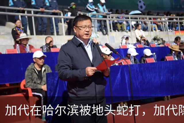 加代在哈尔滨被地头蛇打，加代隐忍不发，三天后哈尔滨高层大换血